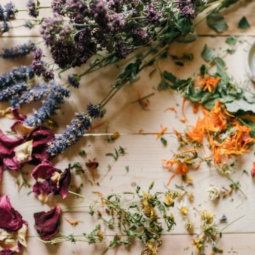 atelier creations Rennes Bretagne