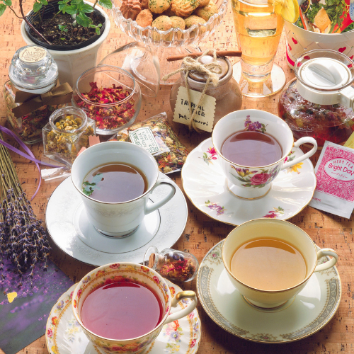 tisanes plantes druide Rennes Bretagne